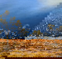 Lyn Barnes Gallery - Hobart Tourism