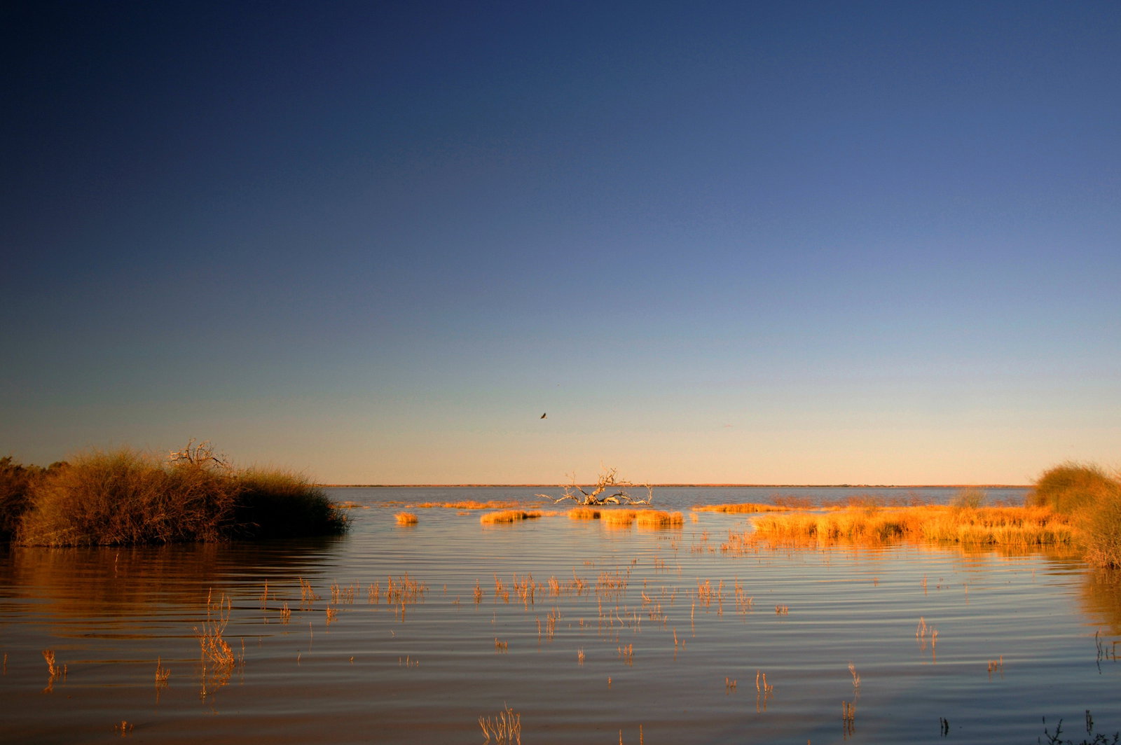 Leigh Creek SA Tourism TAS