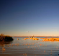 Malkumba-Coongie Lakes National Park