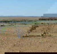 Marlgu Billabong - Tourism TAS