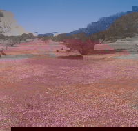 Meekatharra - Hobart Tourism