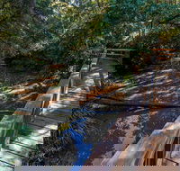 Ms Kellys Walking Track - Tourism TAS