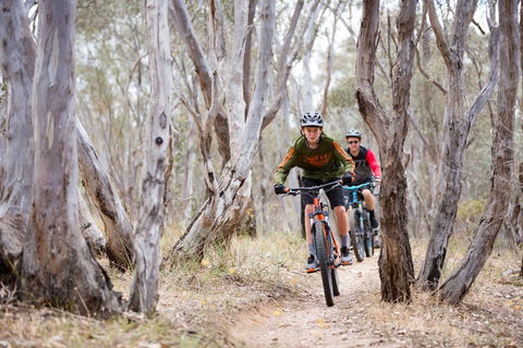 Nail Can Hill - Tourism TAS 1