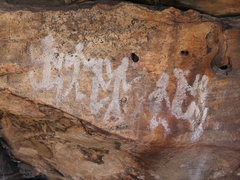Ngamadjidj Shelter - Wartook Valley - Hobart Tourism 0