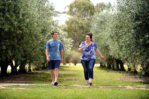 Olives Of Beaulieu - Tourism TAS 0