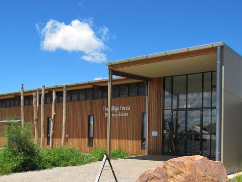 Pilliga Forest Discovery Centre - Hobart Tourism 0