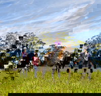 Port Macquarie Horse Riding Centre - Tourism TAS
