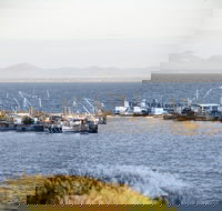 Portarlington - Tourism TAS