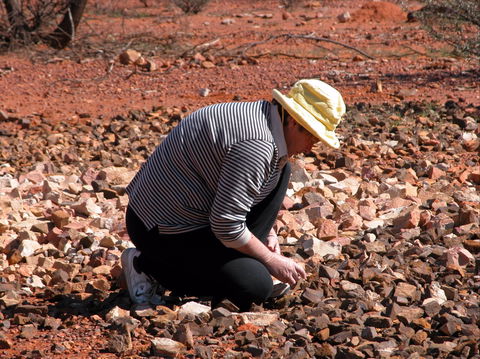 Quilpie Opal Fossicking - Hobart Tourism 1