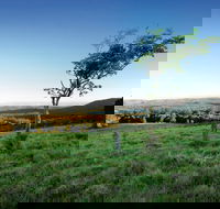 Ravensbourne National Park - Hobart Tourism