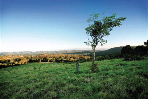 Ravensbourne National Park - Tourism TAS 0