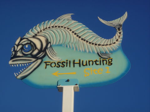 Richmond Fossil Hunting Sites - Tourism TAS 1