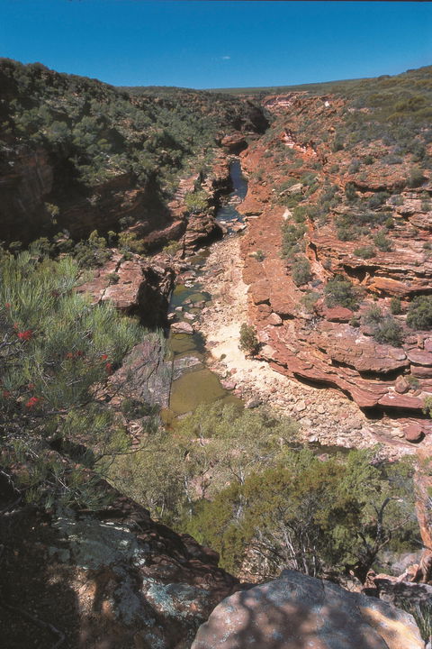 Ross Graham Lookout - Tourism TAS 0
