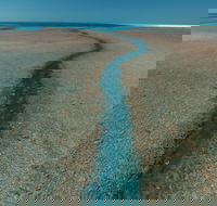 Rowley Shoals - Hobart Tourism