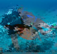 Second Reef Dive Site - Tourism TAS