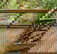 Somersby Falls walking track - Tourism TAS