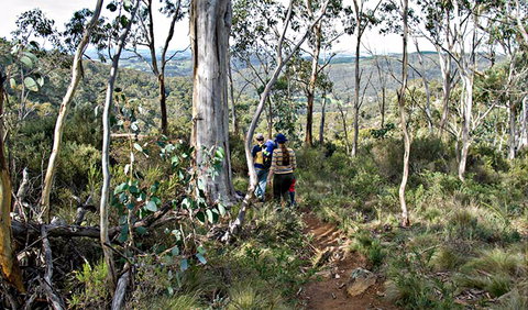 Summits Walking Track - Hobart Tourism 0