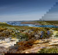 The Coast track - Hobart Tourism
