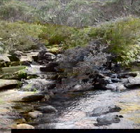 Thredbo River Track - Hobart Tourism