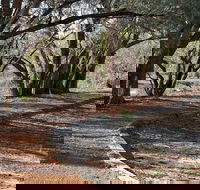 Warrego Floodplain walking track - Hobart Tourism