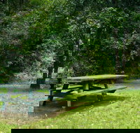 Williams River picnic area - Tourism TAS