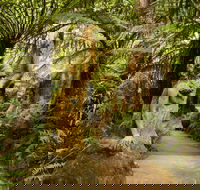 William Ricketts Sanctuary - Tourism TAS