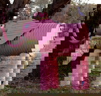 Animals on Bikes - Tourism TAS