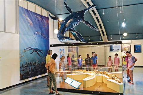 Australian Dinosaur Trail - Tourism TAS 1