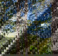 Basin Loop Track - Tourism TAS