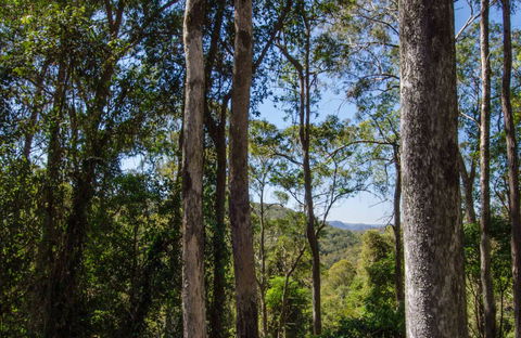 Basin Loop Track - Hobart Tourism 0