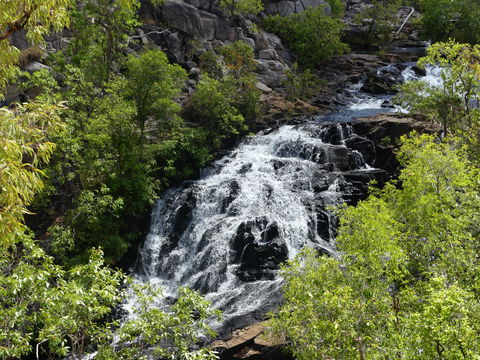 Biddlecombe Cascades - Hobart Tourism 1