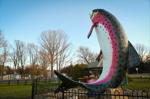 Big Trout - Hobart Tourism 0