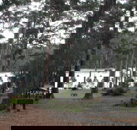 Big Brook Arboretum - Tourism TAS