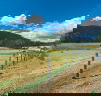 Blackwood River Tourist Drive - Tourism TAS