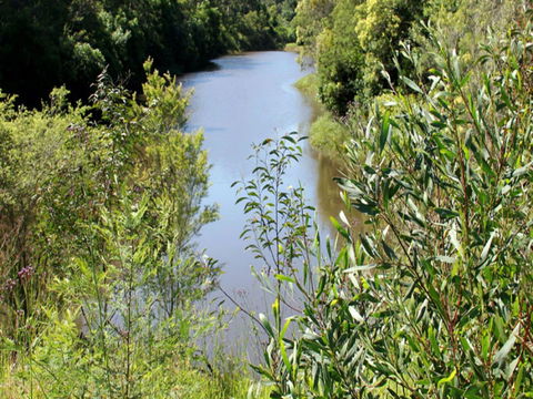Blue Gum Hills Regional Park - Hobart Tourism 1