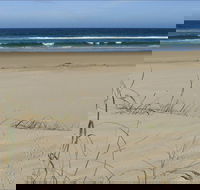 Bongil Beach - Hobart Tourism