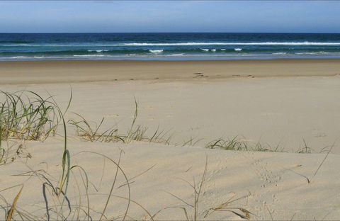 Bongil Beach - Hobart Tourism 0