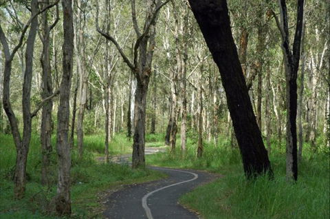 Boondall - Hobart Tourism 0