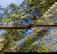 Bribie Island Bicentennial Trails - Tourism TAS