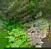 Brindle Creek Picnic Area - Hobart Tourism