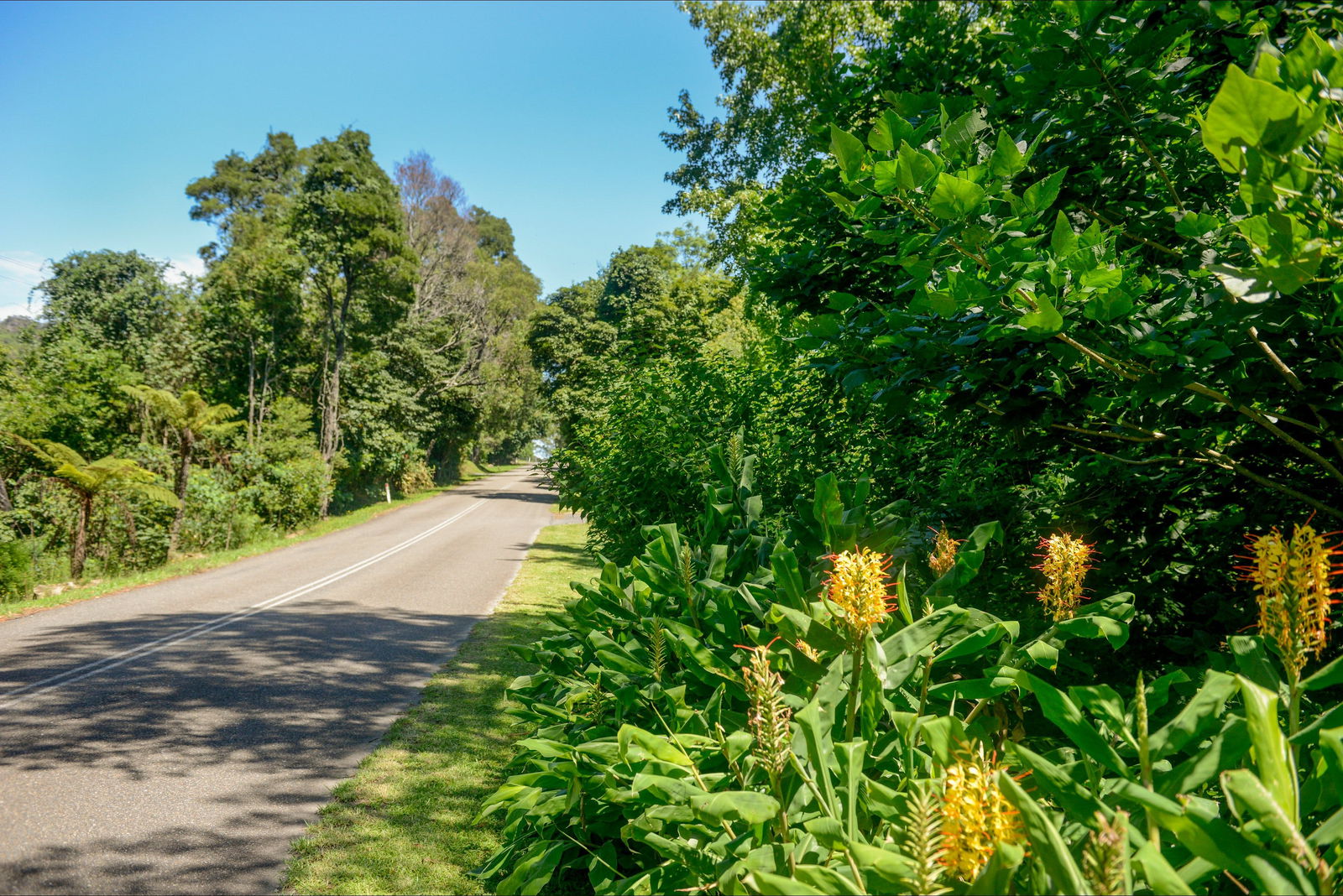 Broughton Vale NSW Hobart Tourism