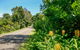Broughton Vale - thumb 0