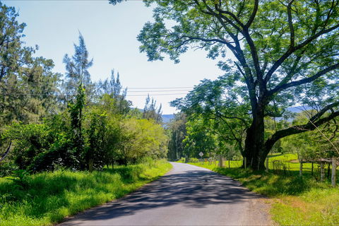 Broughton Vale - Tourism TAS 2