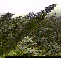 Cascade National Park - Tourism TAS