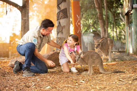 Dreamworld - Hobart Tourism 2