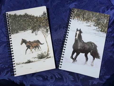 Dungog Arts Society - Tourism TAS 2