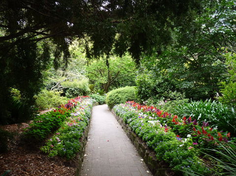 EG Waterhouse National Camellia Gardens - Tourism TAS 1