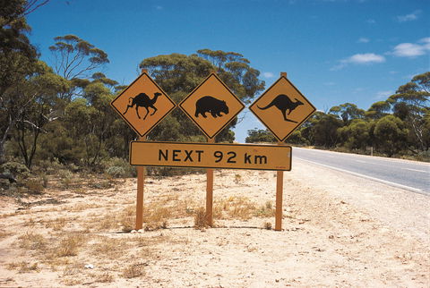 Eyre Highway - Tourism TAS 1