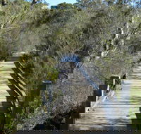 Falcon Crescent Link Track - Hobart Tourism