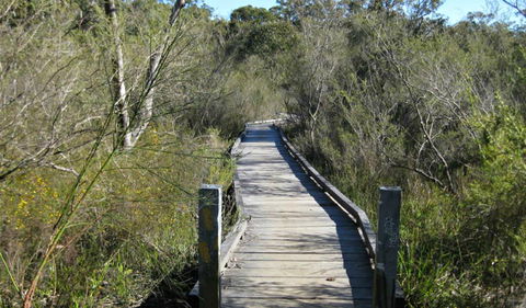 Falcon Crescent Link Track - Hobart Tourism 0